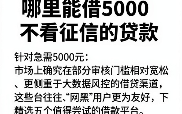哪里能借5000不看征信的贷款,精选五个网黑真正能下款的app
