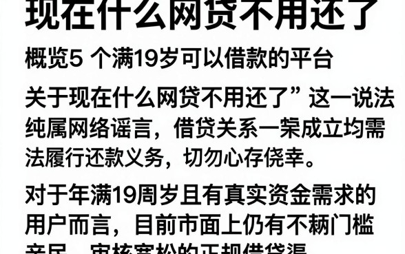 现在什么网贷不用还了,概览5个满19岁可以借款的平台
