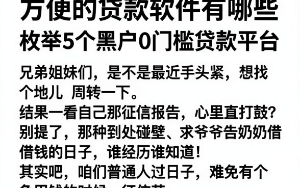 方便的贷款软件有哪些，枚举5个黑户0门槛贷款平台