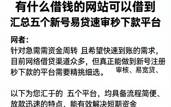 有什么借钱的网站可以借到,汇总五个新号易贷速审秒下款平台
