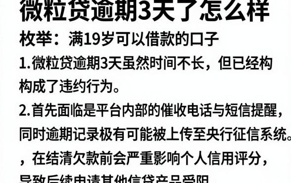 微粒贷逾期3天了怎么样，枚举五个满19岁可以借款的口子