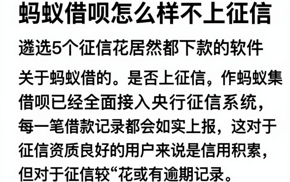 蚂蚁借呗怎么样不上征信,遴选5个征信花居然都下款的软件