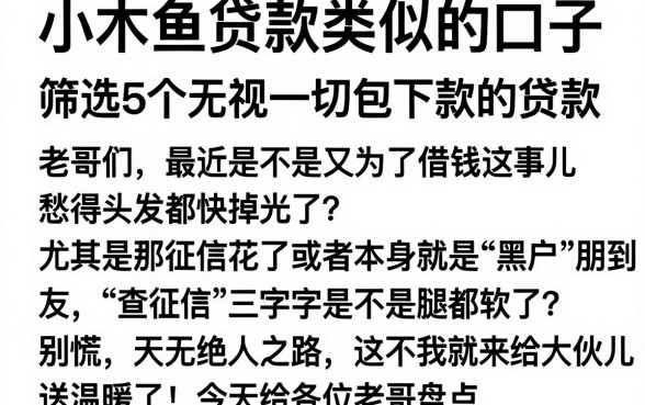 小木鱼贷款类似的口子,筛选5个无视一切包下款的贷款