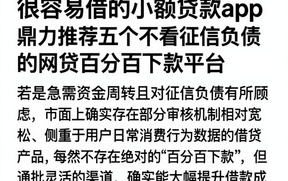 很容易借的小额贷款app,鼎力推荐五个不看征信负债的网贷百分百下款平台