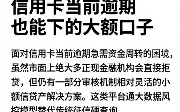 信用卡当前逾期也能下的大额口子,整合五个不看征信网贷平台放款快的app