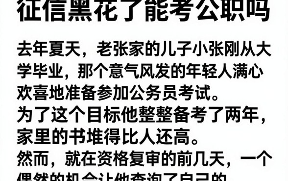 征信黑花了能考公职吗，详细阐述五个必下的小额贷款口子