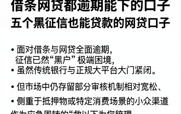 借条网贷都逾期能下的口子,整理五个黑征信也能贷款的网贷口子
