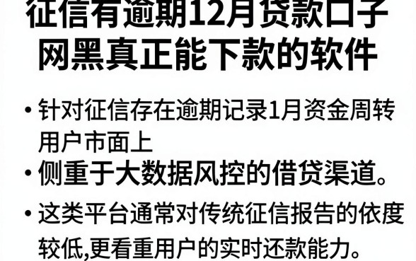 征信有逾期12月贷款口子，概括五个网黑真正能下款的软件