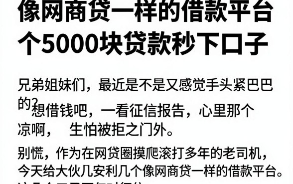 像网商贷一样的借款平台，概括五个5000块贷款秒下口子