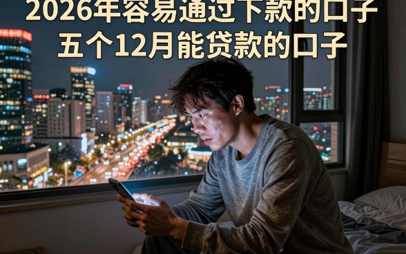 2026年容易通过下款的口子,详细阐述五个12月能贷款的口子