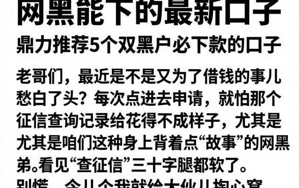 网黑能下的最新口子，鼎力推荐5个双黑户必下款的口子