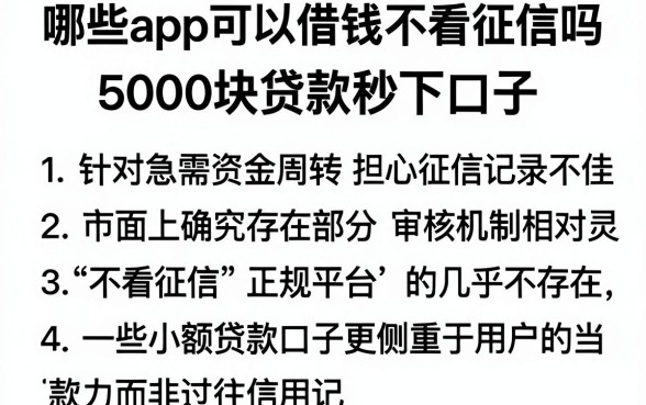 哪些app可以借钱不看征信吗,胪列五个5000块贷款秒下口子