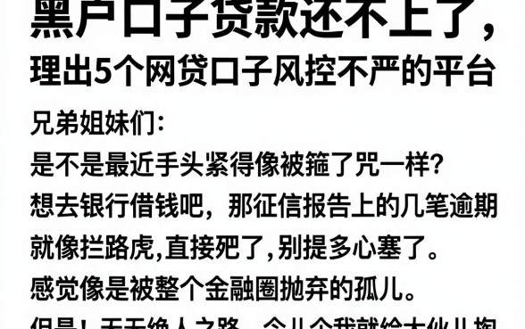黑户口子贷款还不上了，理出5个网贷口子风控不严的平台