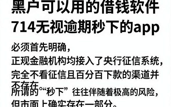黑户可以用的借钱软件，汇整五个714无视逾期秒下的app