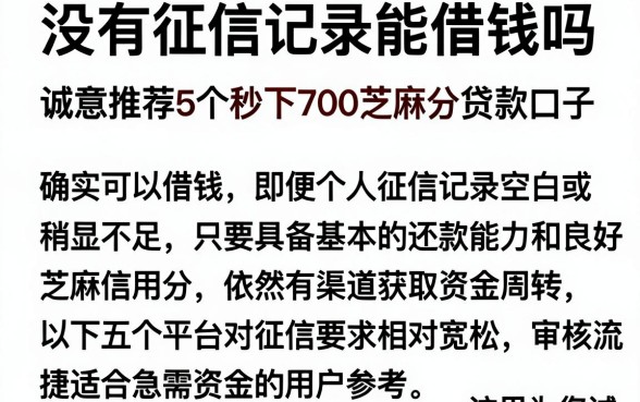 没有征信记录能借钱吗,诚意推荐5个秒下700芝麻分贷款口子
