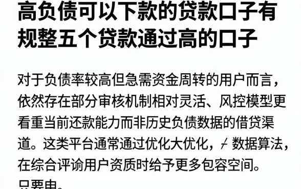 高负债可以下款的贷款口子有,规整五个贷款通过高的口子