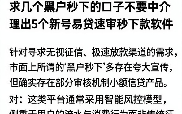 求几个黑户秒下的口子不要中介，理出5个新号易贷速审秒下款软件