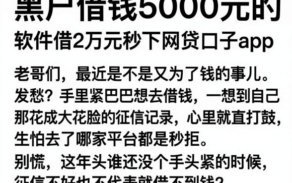 黑户借钱5000元的软件有哪些,详细阐述5个黑户借2万元秒下网贷口子app