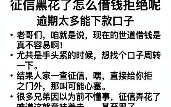 征信黑花了怎么借钱拒绝呢,枚举5个逾期太多能下款口子