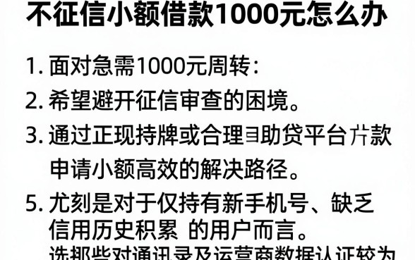 不征信小额借款1000元怎么办,细致阐述5个新手机号容易下款的平台