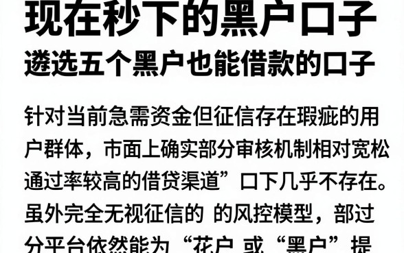 现在秒下的黑户口子，遴选五个黑户也能借款的口子