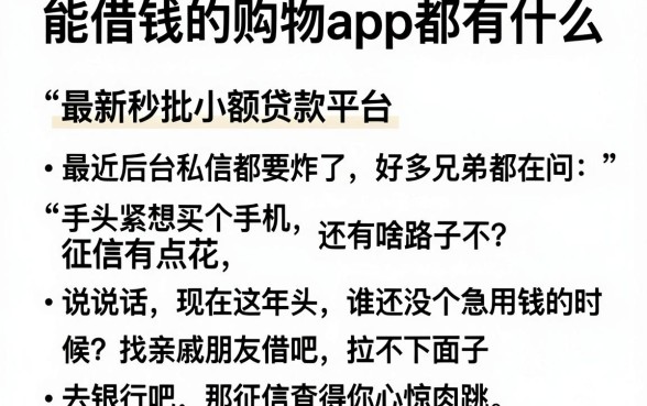 能借钱的购物app都有什么，陈列五个最新秒批小额贷款平台