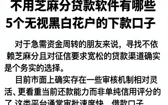 不用芝麻分贷款软件有哪些,整理5个无视黑白花户的下款口子