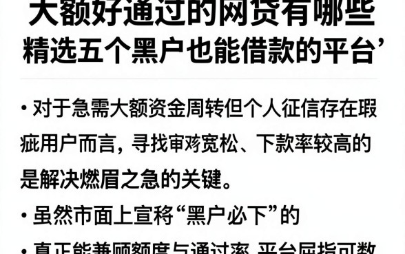 大额好通过的网贷有哪些,精选五个黑户也能借款的平台