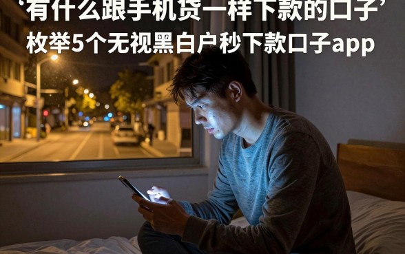 有什么跟手机贷一样下款的口子，枚举5个无视黑白户秒下款口子app