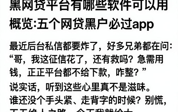 黑网贷平台有哪些软件可以用,概览五个网贷黑户必过app