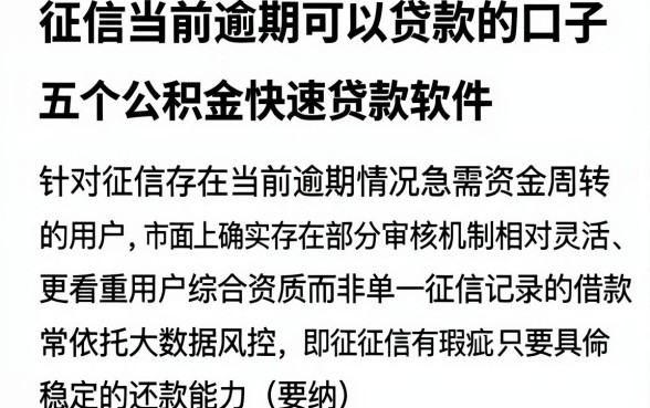 征信当前逾期可以贷款的口子,概览五个公积金快速贷款软件