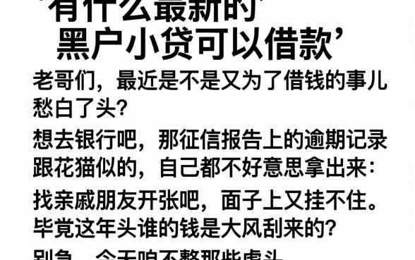 有什么最新的黑户小贷可以借款，详尽说明五个黑户下款平台