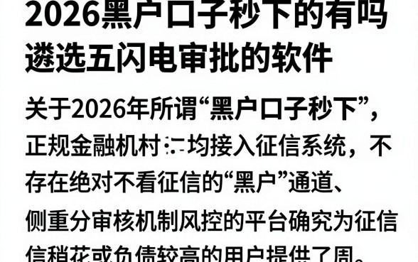 2026黑户口子秒下的有吗,遴选五个闪电审批的软件