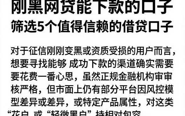 刚黑网贷能下款的口子,筛选5个值得信赖的借贷口子