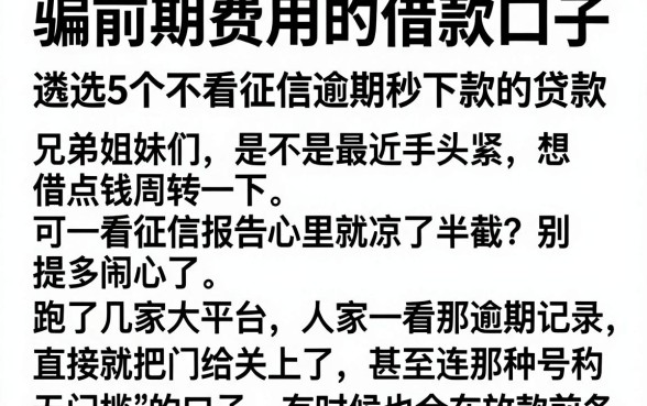 骗前期费用的借款口子,遴选5个不看征信逾期秒下款的贷款