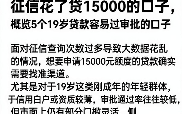 征信花了贷15000的口子，概览5个19岁贷款容易过审批的口子