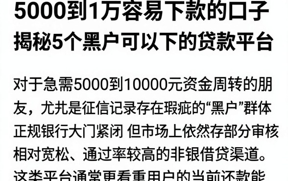 5000到1万容易下款的口子,揭秘5个黑户可以下的贷款平台