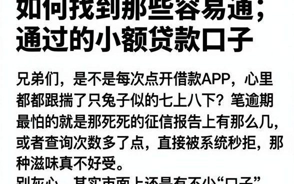 如何找到那些容易通过的小额贷款口子，概括五个手机和身份证快速借钱平台