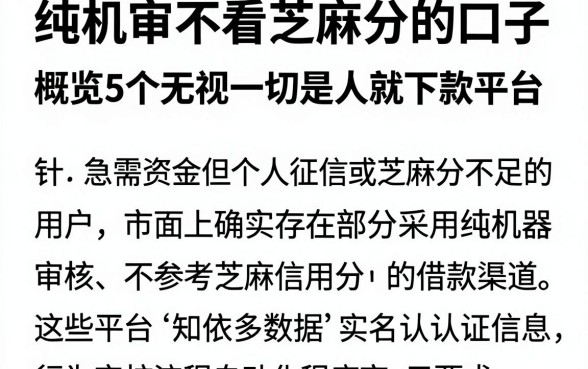 纯机审不看芝麻分的口子，概览5个无视一切是人就下款平台