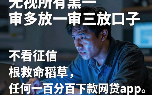 无视所有黑一审多放一审三放口子，整合五个不看征信无视黑白百分百下款网贷app
