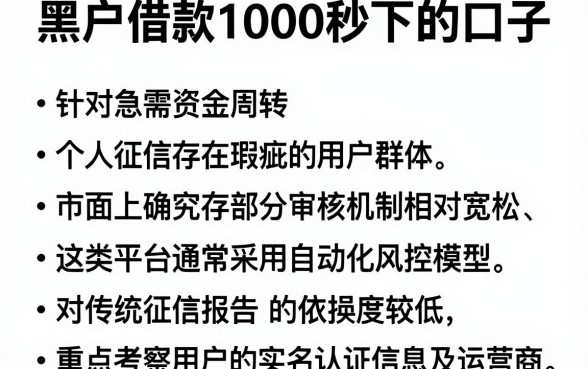 黑户借款1000秒下的口子，深入剖析五个不看年龄征信负债的软件