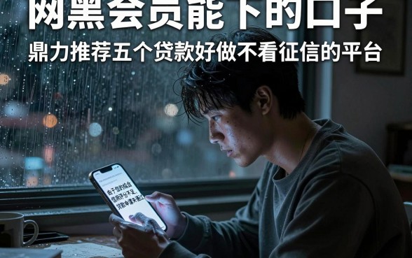网黑会员能下的口子,鼎力推荐五个贷款好做不看征信的平台