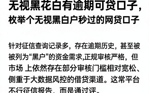 无视黑花白有逾期可贷口子,枚举五个无视黑白户秒过的网贷口子