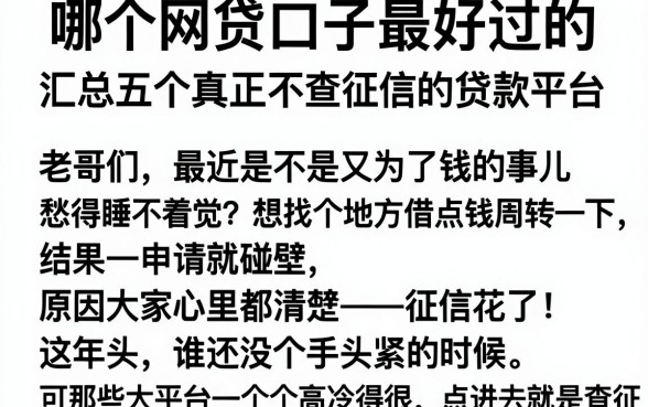 哪个网贷口子最好过的，汇总五个真正不查征信的贷款平台