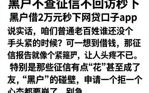黑户不查征信不回访秒下，详尽说明五个黑户借2万元秒下网贷口子app