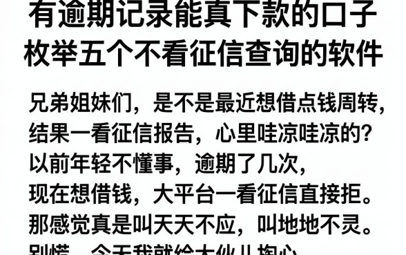有逾期记录能真下款的口子，枚举五个不看征信查询的软件