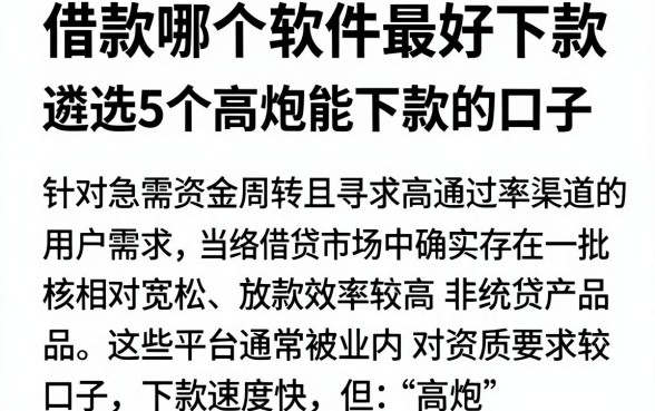 借款哪个软件最好下款，遴选5个高炮能下款的口子