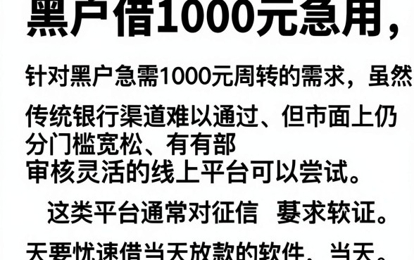 黑户借1000元急用,细致阐述五个无忧速借当天放款的软件