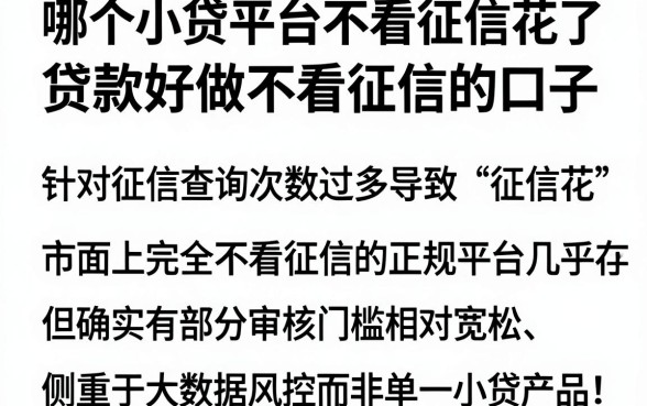 哪个小贷平台不看征信花了,陈列五个贷款好做不看征信的口子