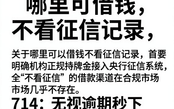 哪里可借钱不看征信记录，精选五个714无视逾期秒下的软件